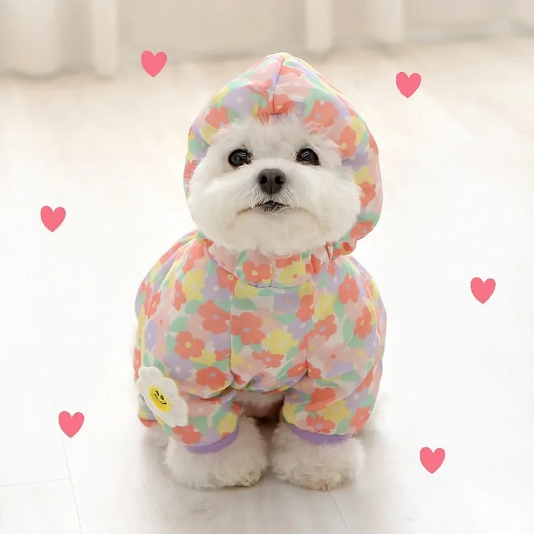 Mono para mascotas, cubierta exterior transpirable a prueba de mosquitos para perros, chaqueta de protección solar con capucha de cuatro patas, ropa para cachorros - imagen 2