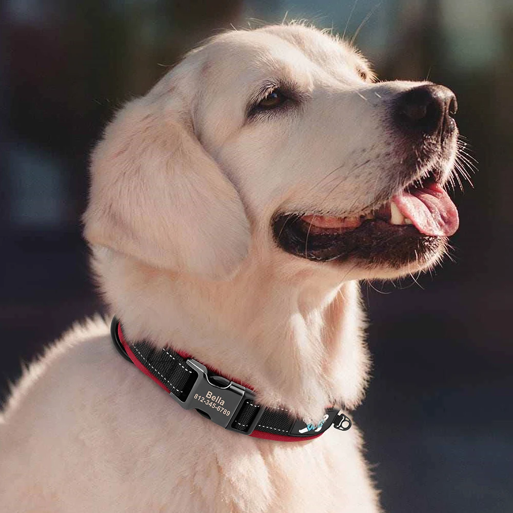 Collar reflectante acolchado para perros Pitbull y Pug - imagen 3