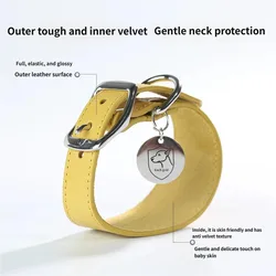 Collar ancho cónico para perros de cuello largo – Greyhound, Dachshund
