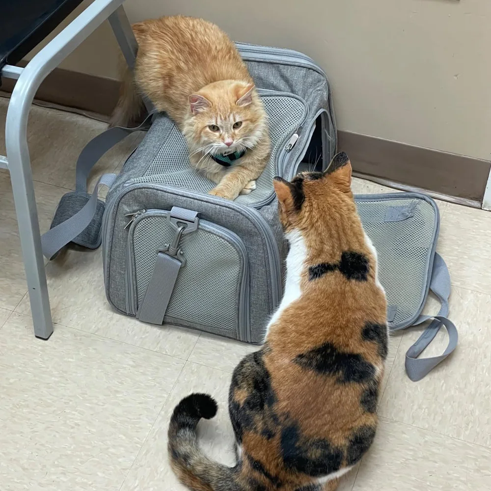 Bolso cruzado portátil transpirable para transportar mascotas con correa ajustable para el hombro, bolsa de viaje multientrada para perros y gatos para mascotas pequeñas - imagen 4