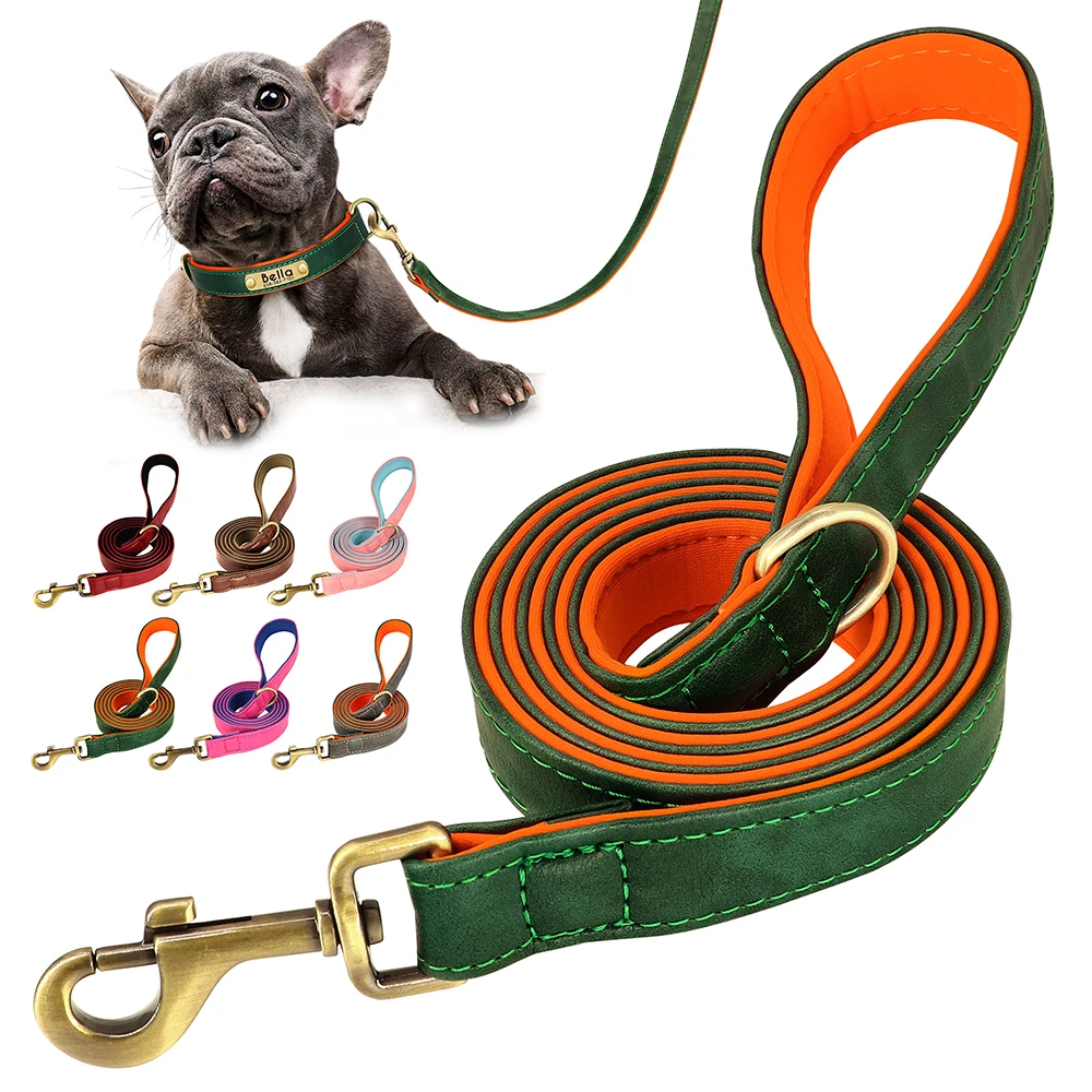 Correa acolchada para perro con asa ergonómica – Paseo cómodo