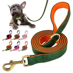 Correa acolchada para perro con asa ergonómica – Paseo cómodo