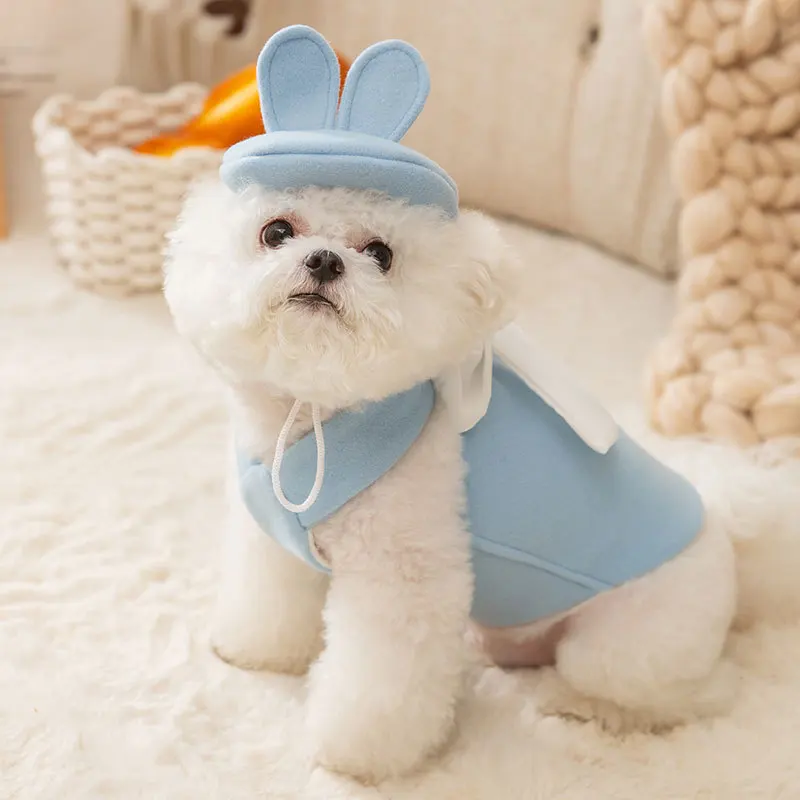 Mignon chiot automne et hiver chien vêtements princesse Style grand nœud jarretelle chiens robe pour petit chien jupe Teddy chat chien vêtements - imagen 5