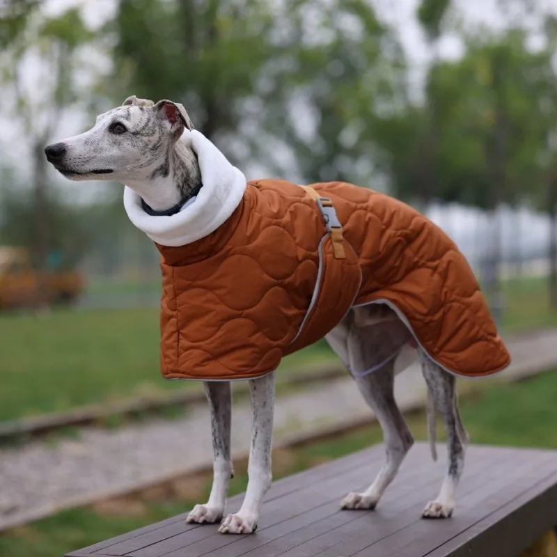 Abrigo cortavientos cálido con capucha para Whippet y Galgo - imagen 2