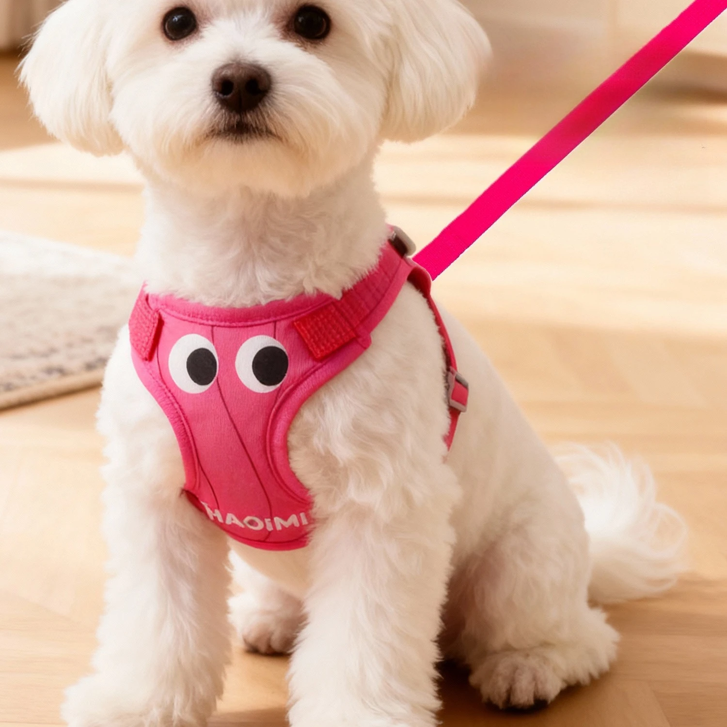 Arnés y correa reflectantes para perros pequeños – Chaleco transpirable - imagen 3
