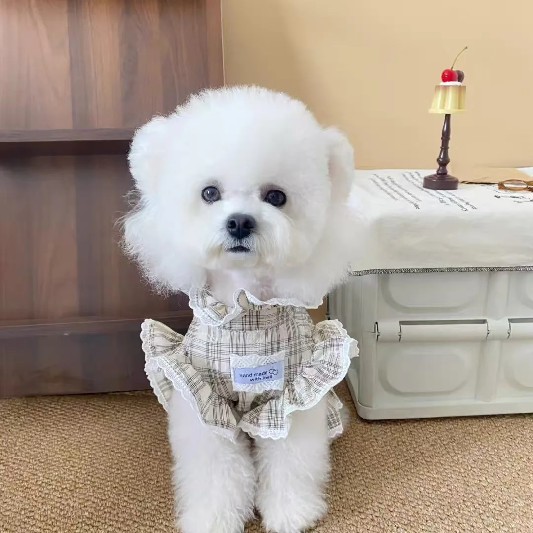 Nueva ropa para perros, falda de encaje, camisa, ropa para caminar al aire libre para perros, camisa de verano, falda para perros de diseño a la moda