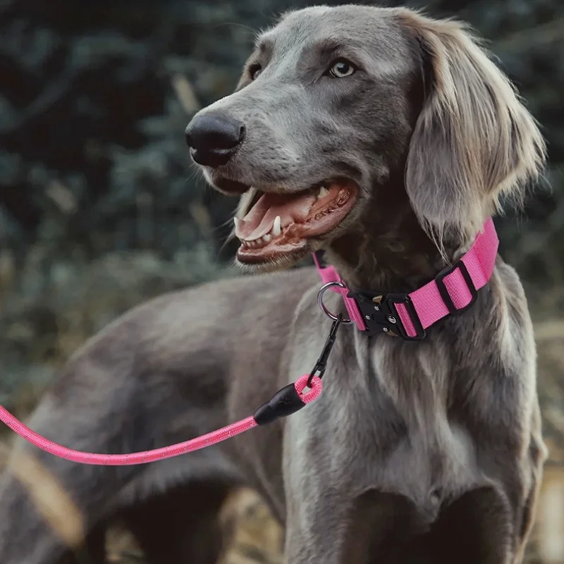 Collar táctico ajustable resistente para perros grandes - imagen 5