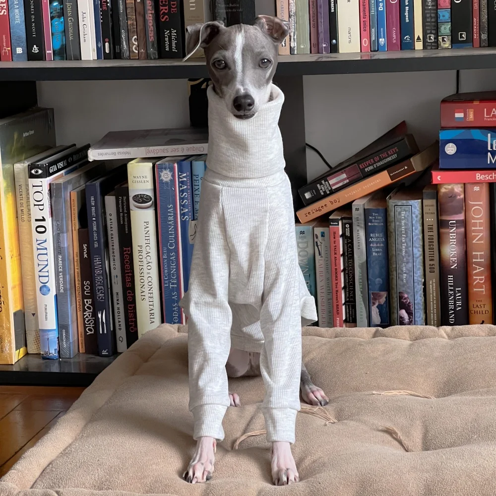 Camiseta gris claro elástica de algodón con cuello alto para Little Greyhound Whippet, mangas con volantes, abrigo de primavera, disfraz dulce para perro medio