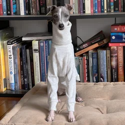 Camiseta para Whippet medio de algodón elástico gris con cuello alto