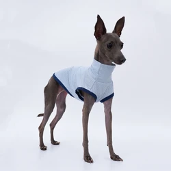 Camiseta verano para galgo italiano – Transpirable de malla
