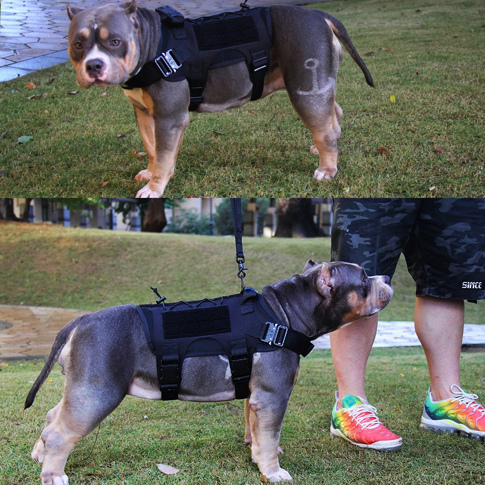 Arnés táctico militar para perros grandes/medianos, chaleco resistente para entrenamiento y servicio de caza, chaleco para perros, ropa impermeable - imagen 5