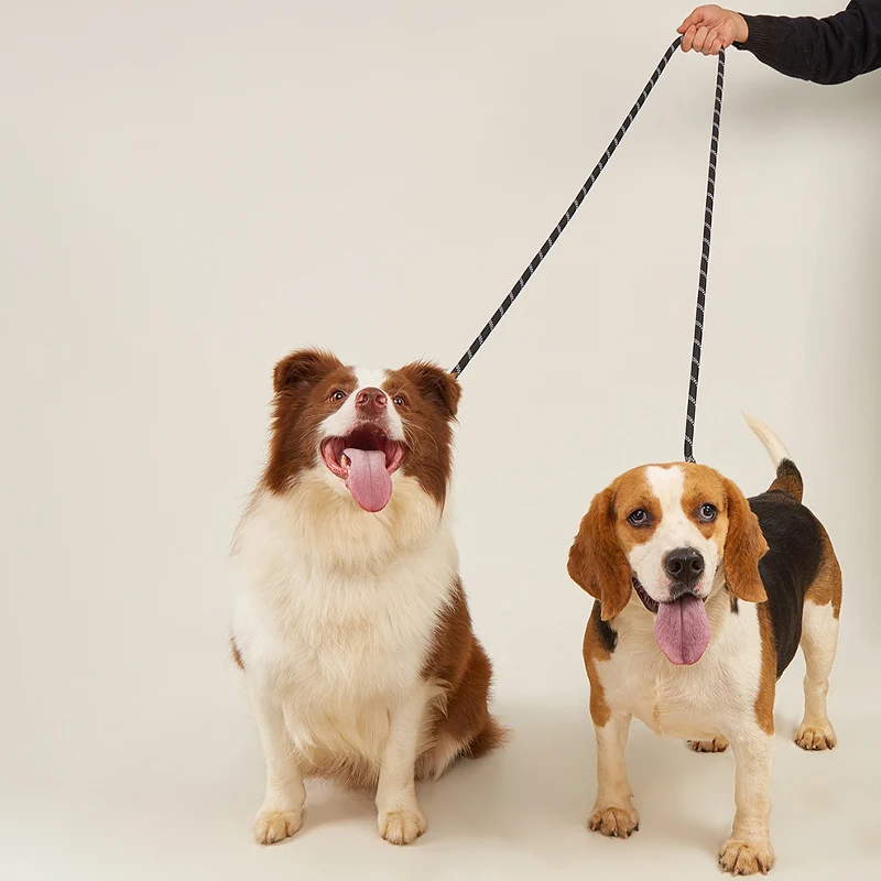 CAWAYI KENNEL-Perrera de nailon reflectante con doble correa para mascotas, cuerda de tracción para correr, manos libres, cadena para perros grandes - imagen 5