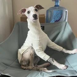 Chaqueta de cuello alto en jersey rojo para Whippet y perros
