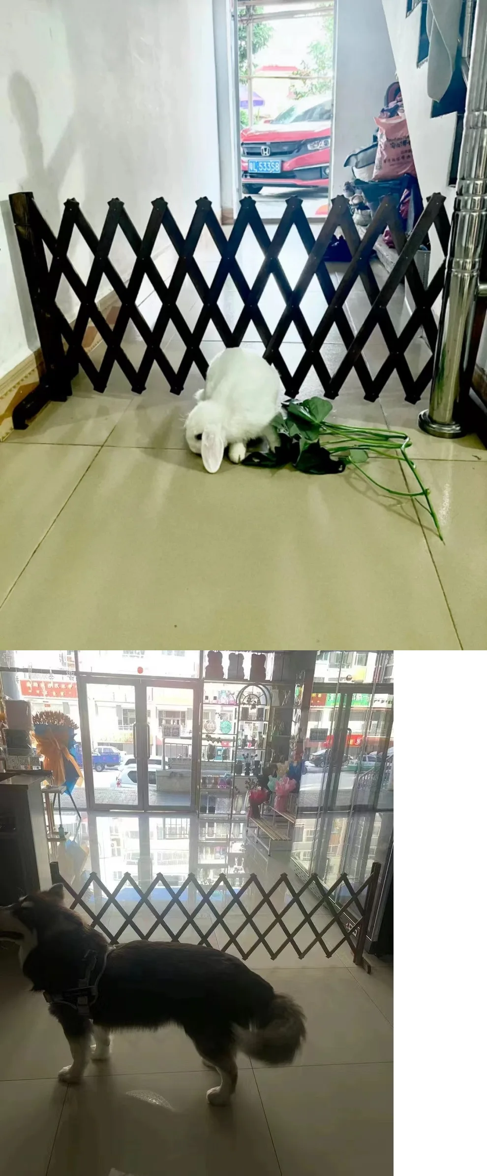 hmqViviiyNSAyin9Wuaet0Q/E9Gn53zNumNT