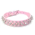 Collar Pink