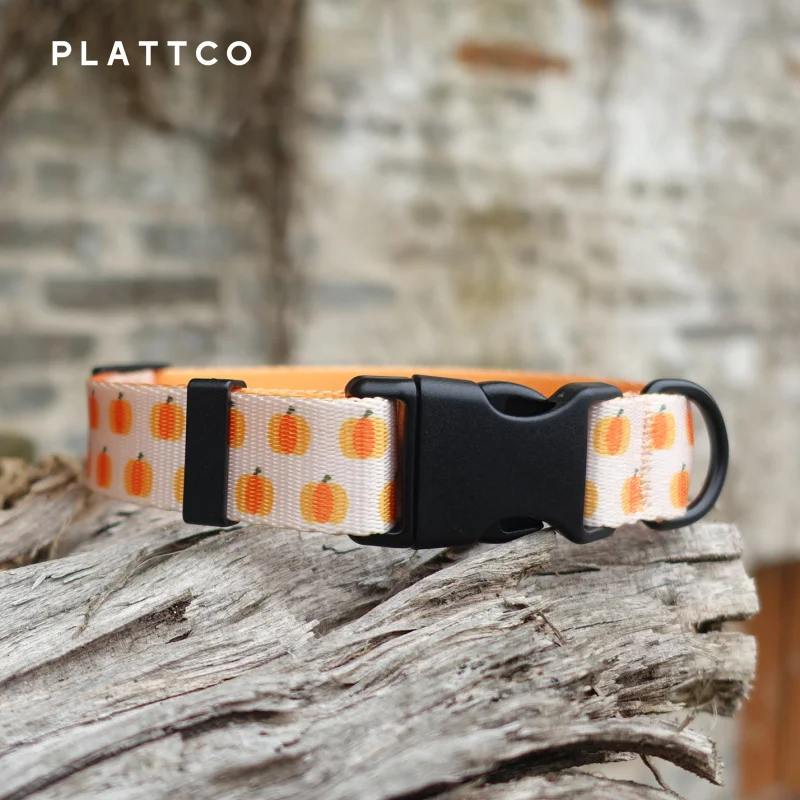 PLATTCO Collar de perro extraíble personalizado Patrón de calabaza CANDY para perros pequeños y grandes 5 tamaños PDC321 - imagen 2