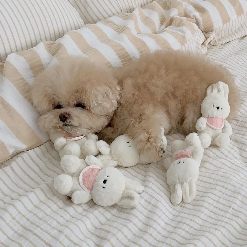 Conejo de juguete para perros, conejito, ardilla, acompañamiento para dormir, bonito juguete para mascotas, sonido divertido, cepillo de dientes, juguete para gatos, accesorios para perros de peluche - imagen 3