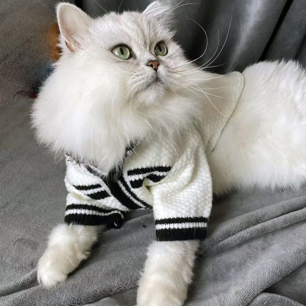 Nuevo suéter para mascotas, perro, Pomerania, gato de peluche con perla, pequeña fragancia, ropa de perlas, ropa para cachorros, productos para mascotas, disfraz para perros - imagen 4