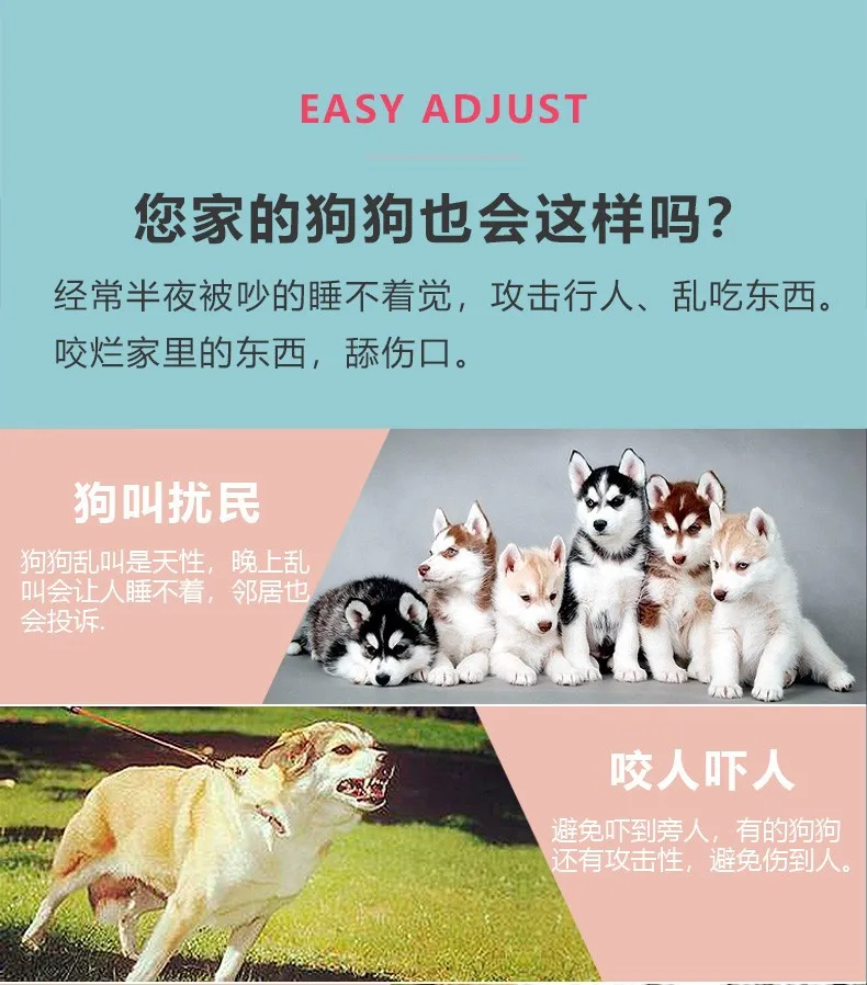 O1CN01vTh2WL1NvxPfpuVOP_!!1662