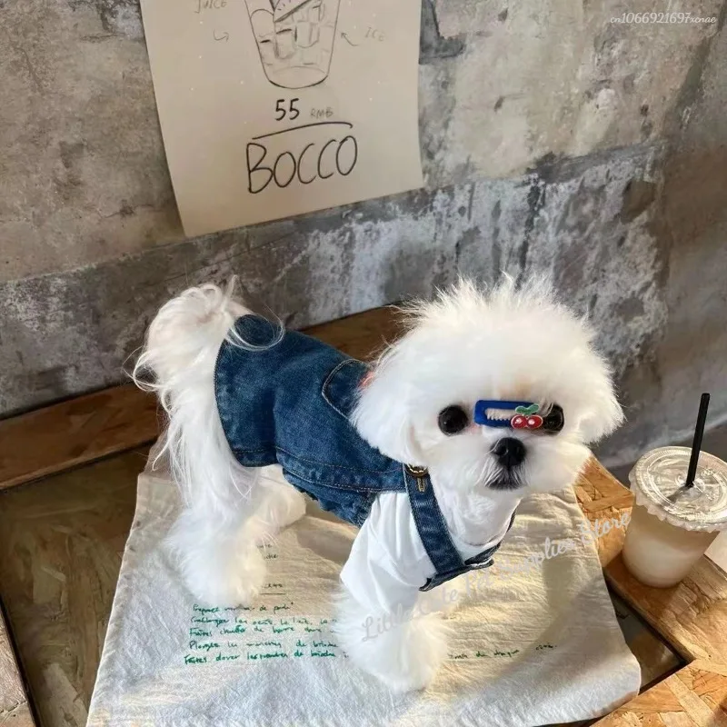 Falda vaquera de cereza para mascotas, vestido vaquero lavable y reutilizable con patrón, ropa para mascotas, Primavera/Verano - imagen 3