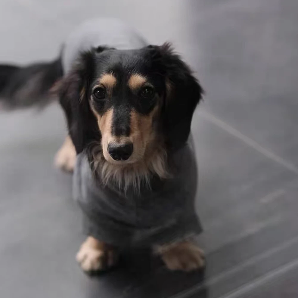 Suéter gris de moda para perros salchicha, sudadera cálida de manga corta para perros Wiener, abrigo suave para perros salchicha en invierno