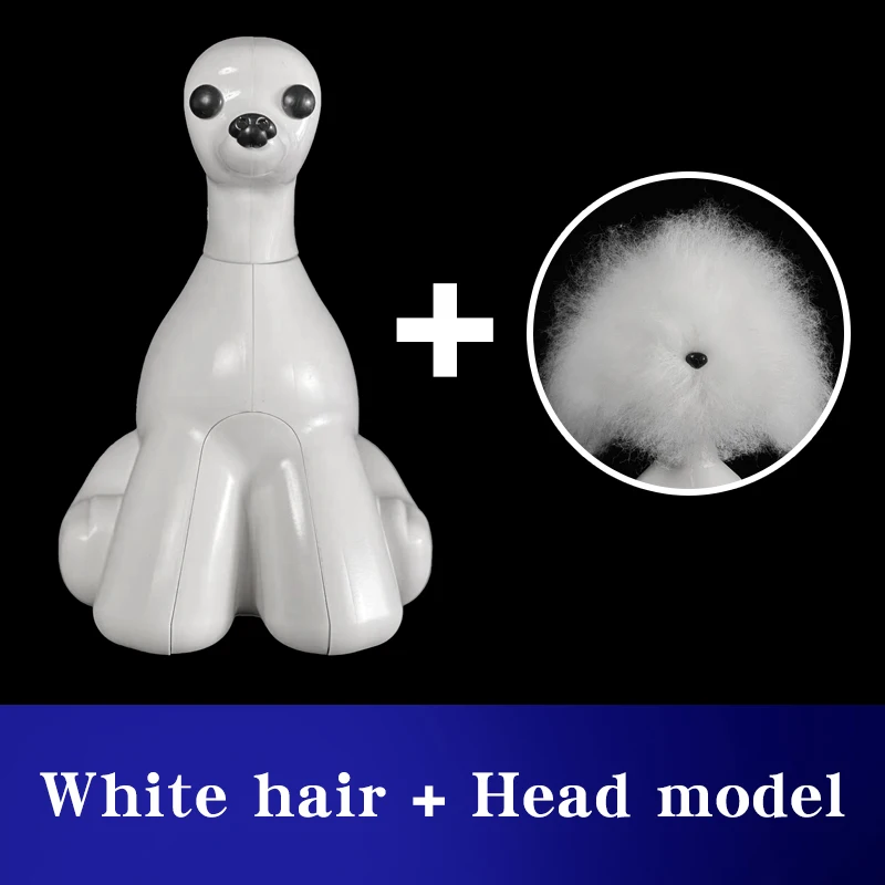 White hair and Model