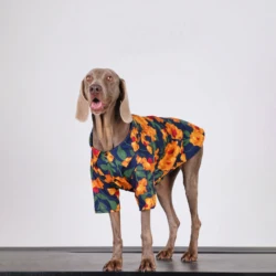 Camiseta de verano para perro – Estampado floral cómodo y fresco