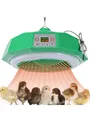 Warm Air Lamp - EU