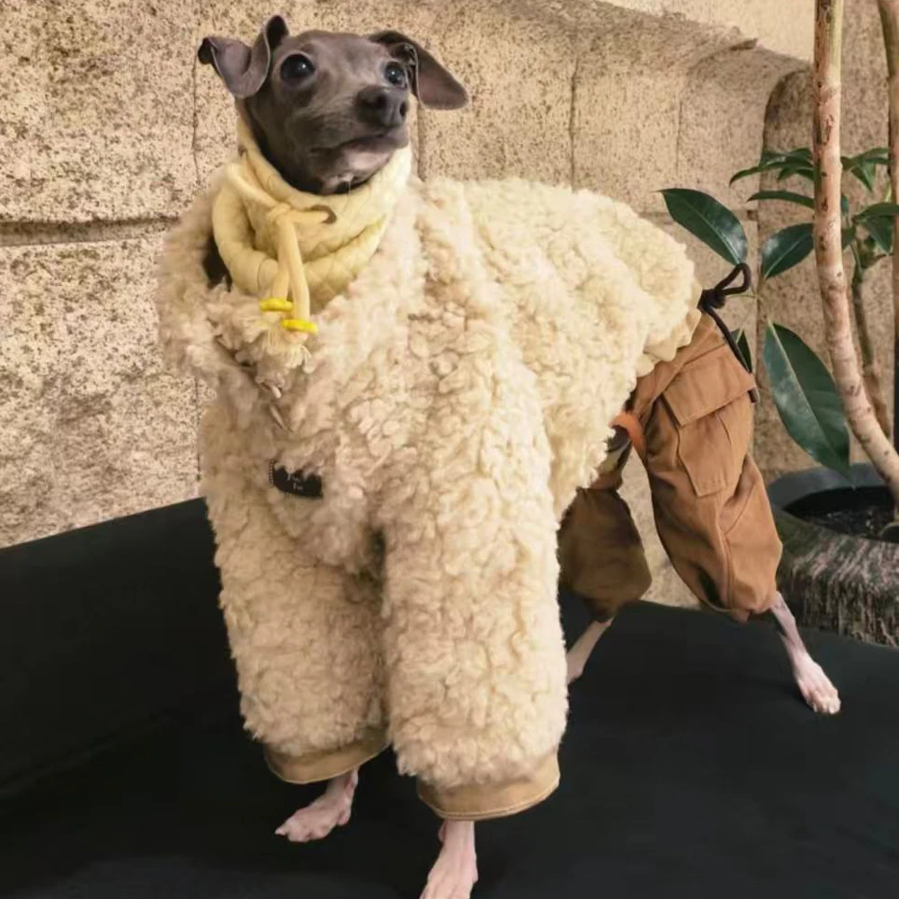 Chaqueta cálida para perros con cuello alto 2 en 1 (Whippet y galgo)