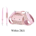 Pink Within 2KG