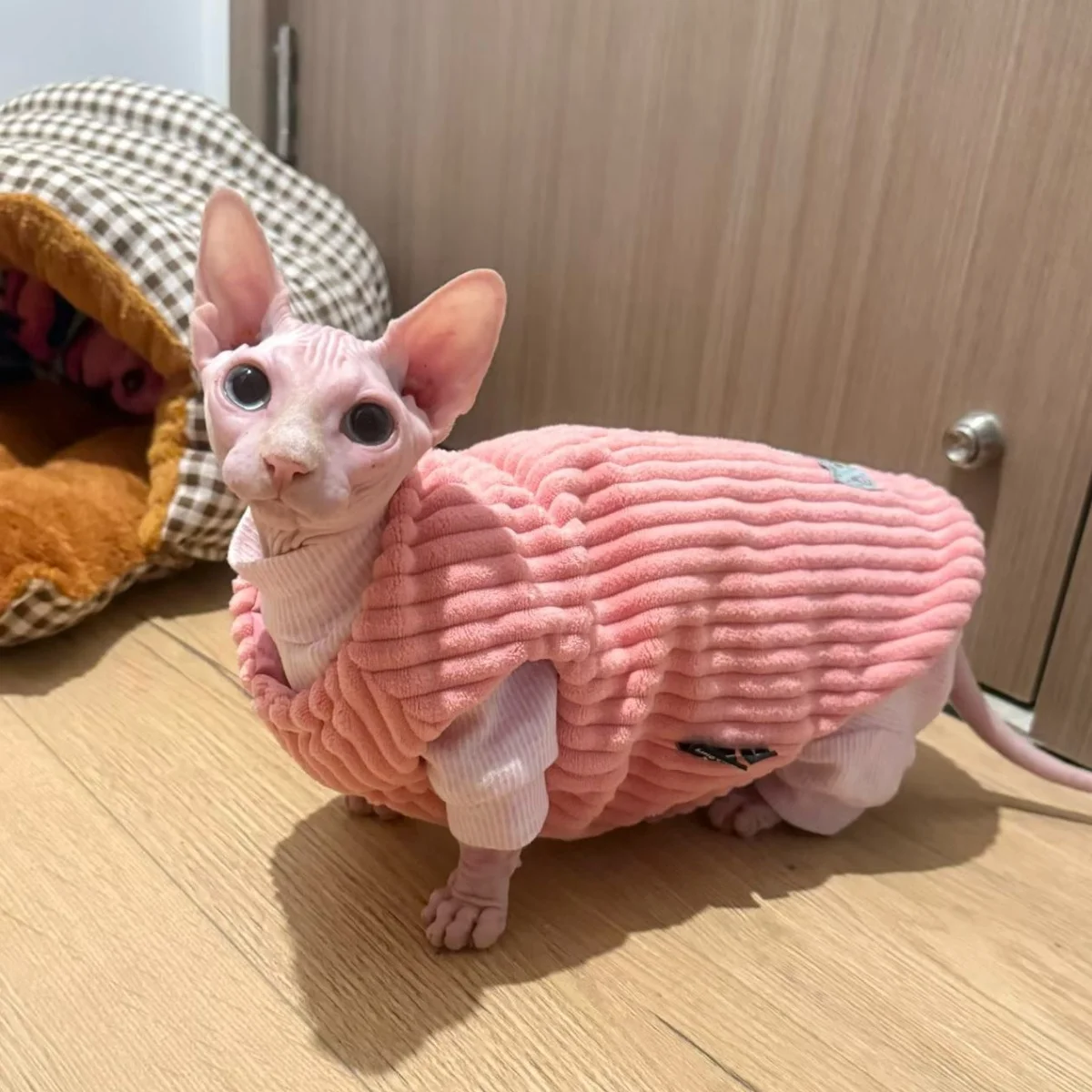 Chaleco cálido rosa de invierno para gatos, Chaqueta de algodón de lana gruesa para gato sin pelo en otoño, abrigo grueso y dulce para gato Sphynx - imagen 3