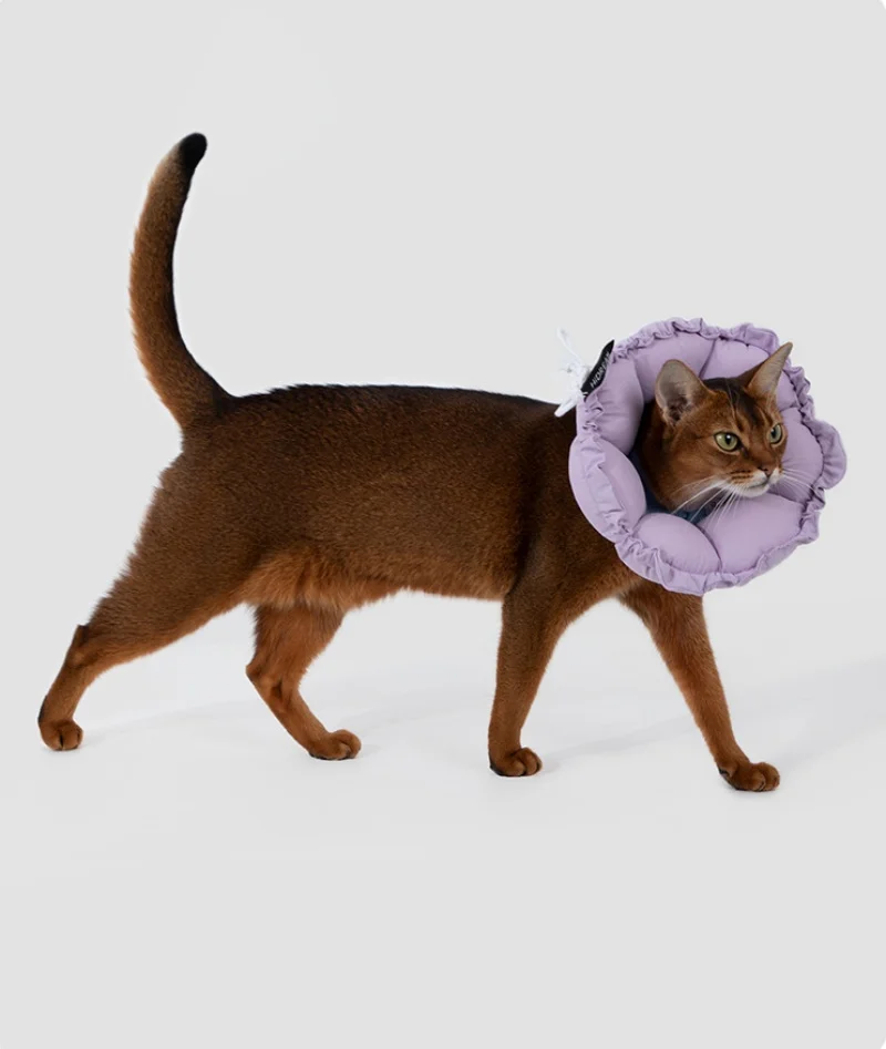 Collar de recuperación para gatos de gran diámetro, cono suave ajustable para gatitos, peso ligero, impermeable, Collar isabelino para evitar lamer - imagen 4