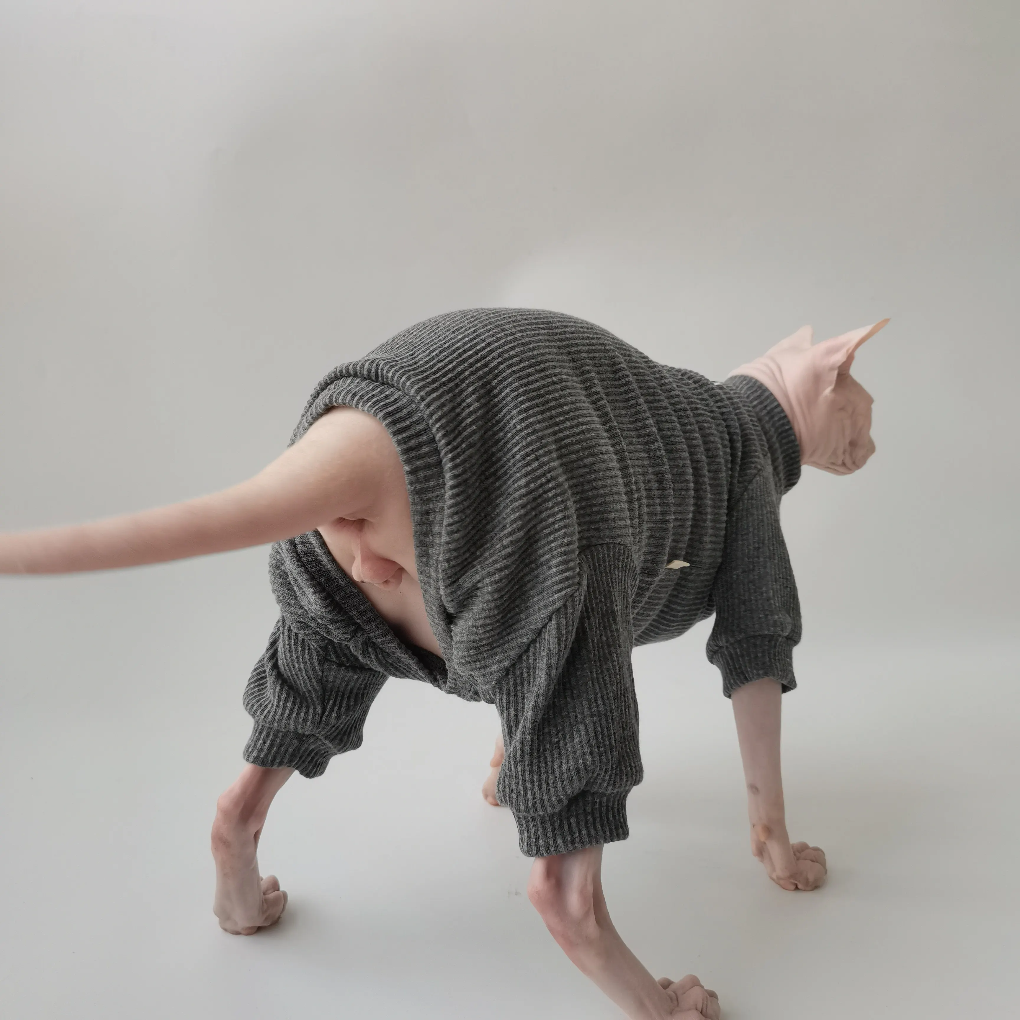 Abrigo de algodón para gatos Sphynx otoño-invierno, pijama manga larga - imagen 5