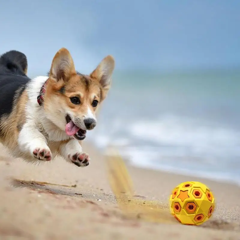 Pelota de goma resistente para perros, juguetes para masticar, entrenamiento de lanzamiento al aire libre, suministros para mascotas - imagen 3