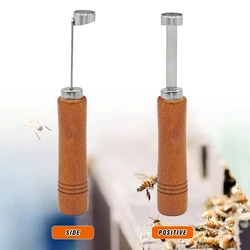 Cortador de base con peine, Kit de cría de reina sin injerto para equipo de apicultura, herramienta extractora de abejas, 2 uds.