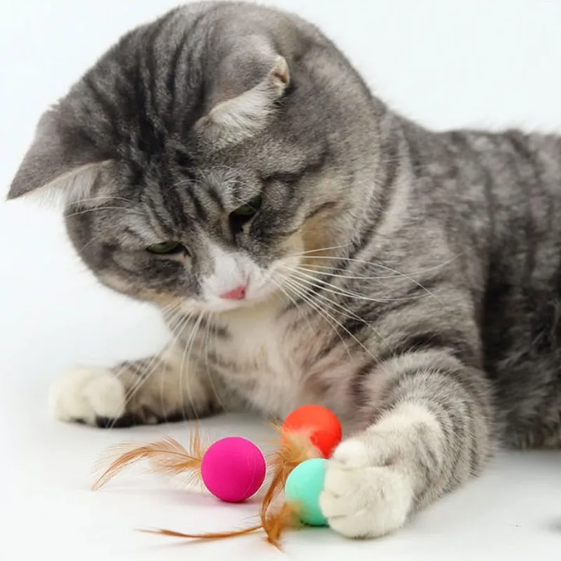 Juguete de plumas para gatos, palos elásticos, pelota interactiva resistente a las mordeduras, suministros para mascotas - imagen 3