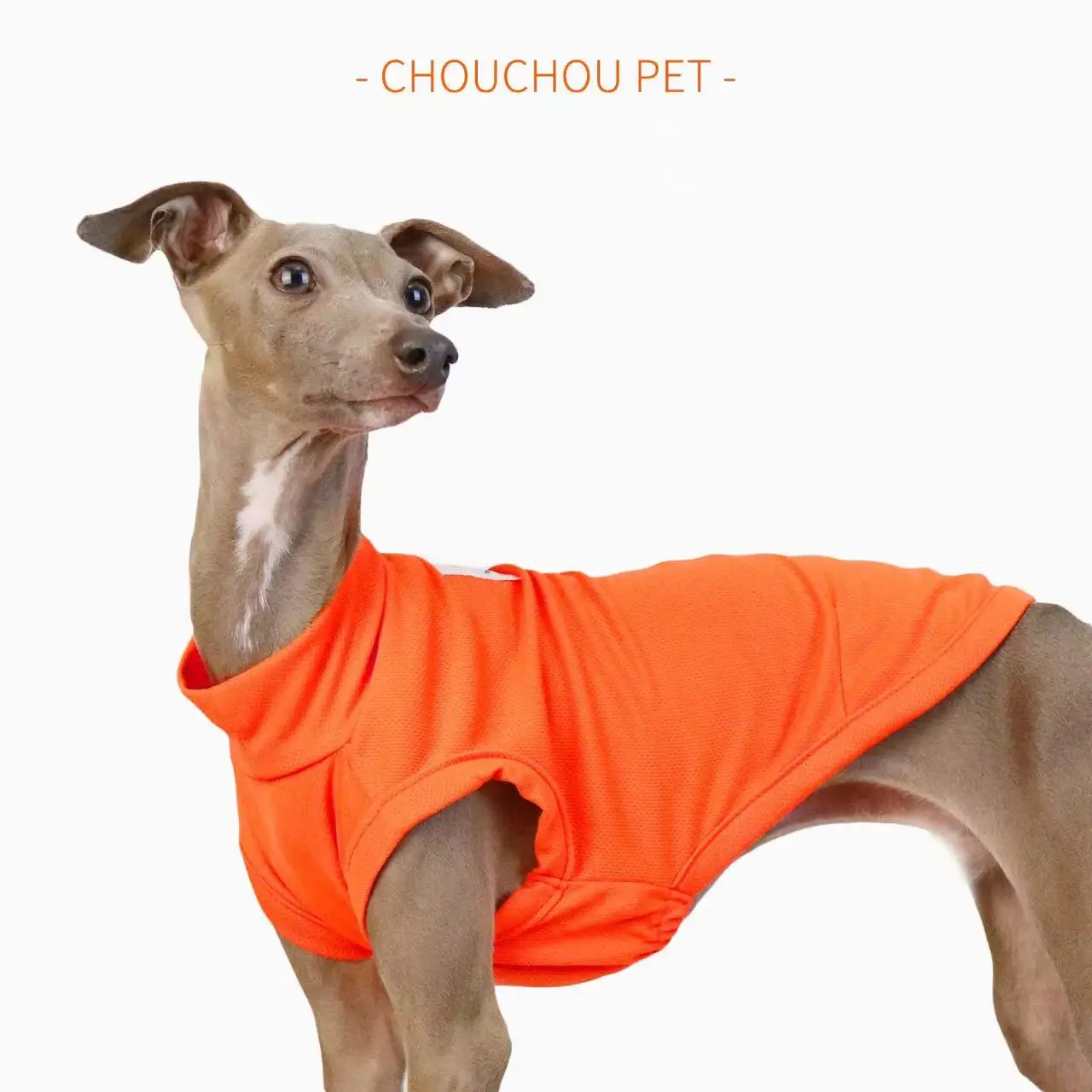Chaleco transpirable de verano para perros, protección solar para exteriores, ropa para mascotas, ropa fresca y cómoda para perros pequeños y medianos Iggy Whippet - imagen 2