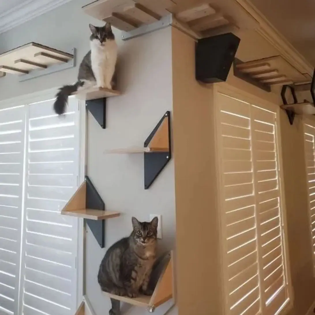 Árbol para gatos, marco de escalada para mascotas, nido para gatos montado en la pared, poste rascador para gatos de Sisal, plataforma para saltar de nubes, madera ecológica