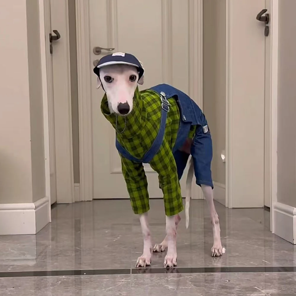 Conjunto vaquero para perros – Camiseta verde sin mangas + jean - imagen 5