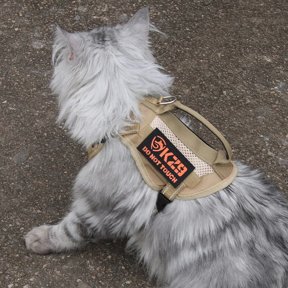 Arnés y correa tácticos para cachorros y gatos, arneses de mano para mascotas, accesorios adhesivos para gatos Maine Coon Chinchilla mascotas - imagen 5