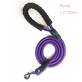 Purple Leash