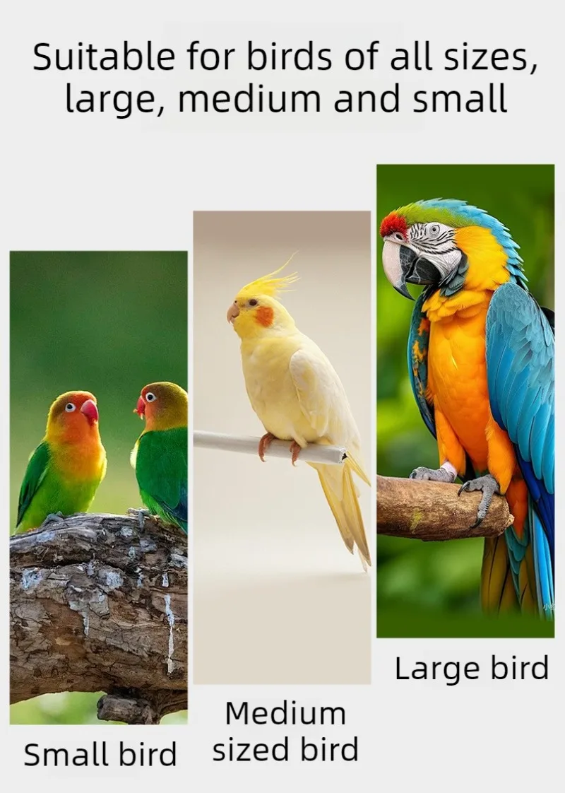 Cuencos de alimentación para loros fijos al soporte