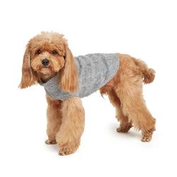Jersey de punto cálido para perro pequeño y Chihuahua