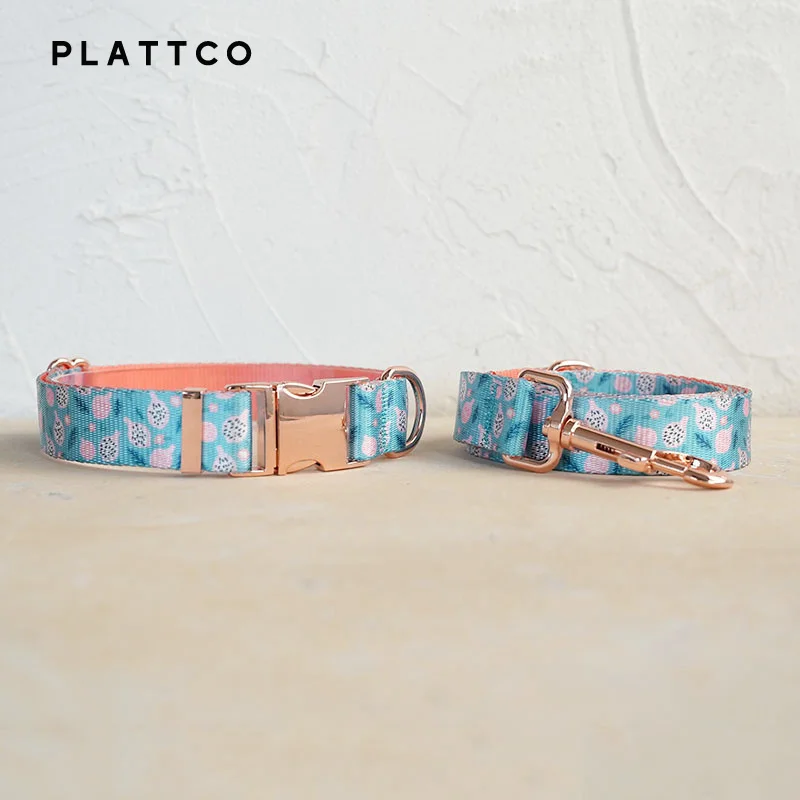 Dog Collar Leash Set