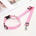 Pink Leashes