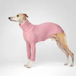 Camisa algodón cuello alto para Galgo Italiano – Ropa cómoda perro