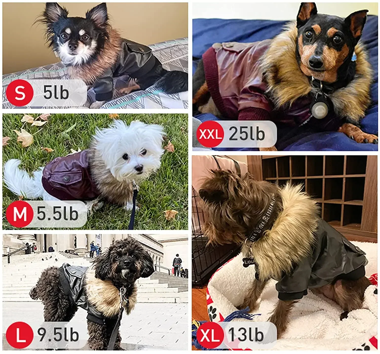 Abrigos de cuero PU para perros, abrigo impermeable de invierno para perros, chaquetas para cachorros, ropa para perros pequeños a medianos, ropa para mascotas, ropa para perros de invierno - imagen 5