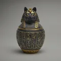 for cat