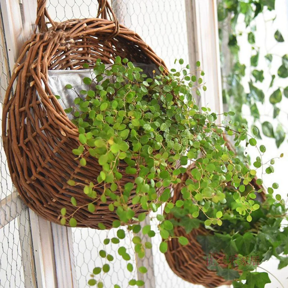 Cesta con planta suculenta colgada en balcón