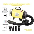 Blow Suction Yellow